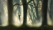 We're Going on a Bear Hunt (2016)