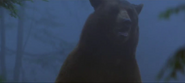 Grey Owl (1999)