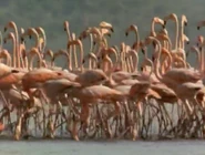 The Most Extreme (2002-2007)