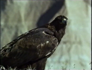 Badlands (1994)