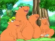 Go, Diego, Go! (2005-2011)