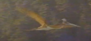 Dinosaurs:Message in Stone (1993)