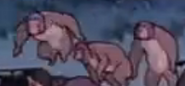 Pom Poko (1994)