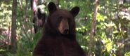 The Jungle Book (1994)