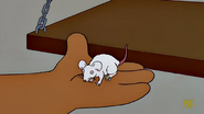 The Simpsons (1989-)