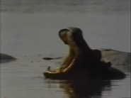 Kilimanjaro (1984)