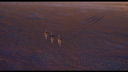 Sacred Planet (2004)