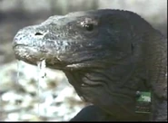 Twisted Tales (1998-2000)