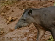 Candamo: Journey Beyond Hell (2000)