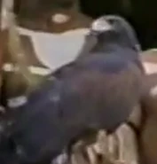 The Banana Splits Adventure Hour (1968)