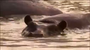 Moment of Impact (2010)