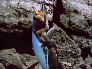 The Galapagos (1986)