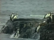 Bill Nye the Science Guy (1993-1998)