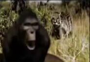 Land of Lost Monsters (2004)