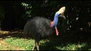 Australia's Deadliest Destinations (2005)