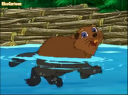 Go, Diego, Go! (2005-2011)