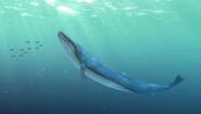 Shark Bait (2006)