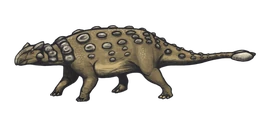 800px-Ankylosaurus magniventris reconstruction