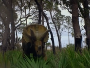 Dino Hunt Canada (2014) “The Horned Dinosaur Mysteries”
