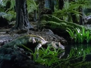 Once Upon Australia (1995)