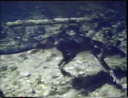 The Velvet Claw (1992)