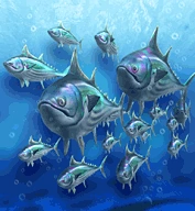 Yellowfin Tuna, NatureRules1 Wiki