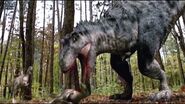 Raptor Island (2004)