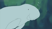 Shirokuma Cafe (2012-2013)