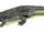 Mahajangasuchus
