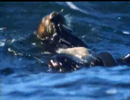 Eyewitness (1994-1997)