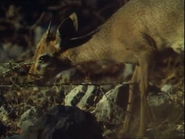 Life on Earth (1979)