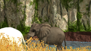 African Bush Elephant | NatureRules1 Wiki | Fandom