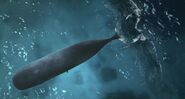 Dolphin Boy (2022)