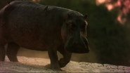Crazy Monster (2014)