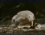 Eyewitness (1994-1997) “Reptile”