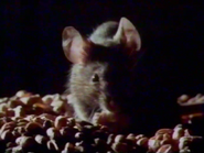 Night Hunters (1989)