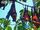 Pemba Flying Fox