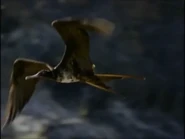 Spirit of the Jaguar (1996)