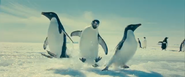 Oceans (2009)