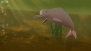 The Octonauts (2010)