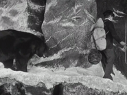 The Gold Rush (1925)