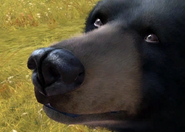 Zoo Tycoon reboot (2013)