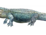 Deinosuchus