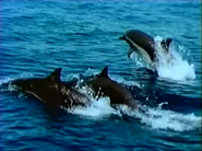 Hunters of the Sea Wind (1996)
