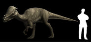 Arctic Dinosaurs (2011)