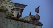 Mansfield Park (1999)