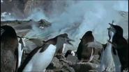 Penguins of the Antarctic (2006)