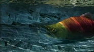 Animal Games (2004)