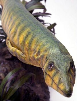 Dallasaurus