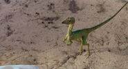 The Lost World: Jurassic Park (1997)
